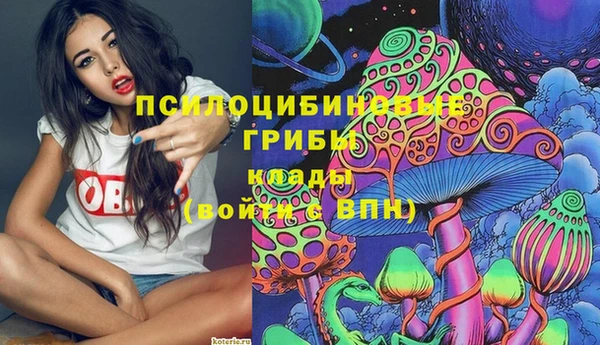 стафф Елабуга