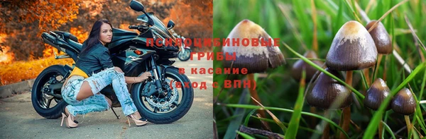 спайс Ельня